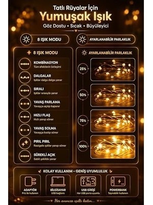 8 Mod Perde Ledi 300 LED 3X3M 10 Sarkıt LED Yılbaşı Oda Dekoru Kumandalı Peri Perde LED