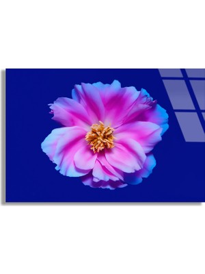 Steelartdec Pembe Çiçek Cam Tablo