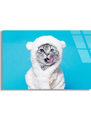 Steelartdec Peluş Kostümlü Kedi Cam Tablo
