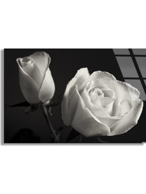 Steelartdec Beyaz Gül Cam Tablo