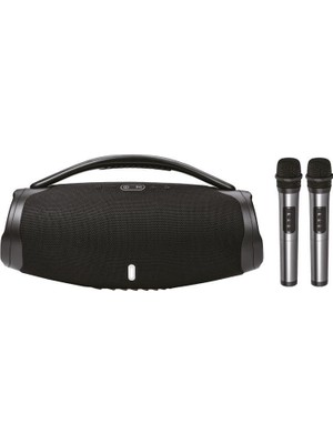 1001 40W 3000 Mah Çift Mikrofonlu Taşınabilir Bluetooth Hoparlör BTS-X300