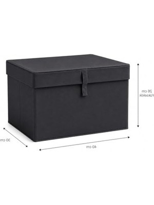 Vionna Mini Boy 40X30X26 cm Organizer Saklama Kutusu ile Düzenli Alan Yaratın