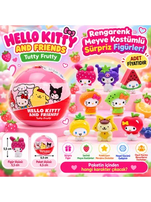 Akıllı Bayi 20541 3D Figür H Kıtty And Frıends Tutty Frutty Sürpriz Paket (Adet Fiyatıdır)