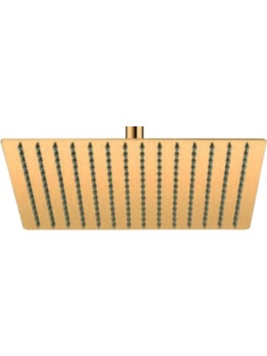 Harmeh Concept D550G Kare Gold Tepe Duş Başlığı 25X25