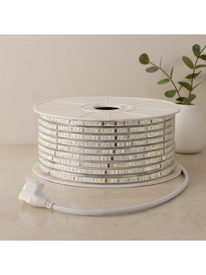 Dış Mekan 220V Şerit LED 120LED 100M (3000K / Günışık)