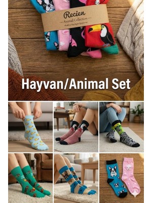 Can Moda Canmoda Animal Collection - 5'li Karışık Hayvan Figürlü Renkli Çorap Seti