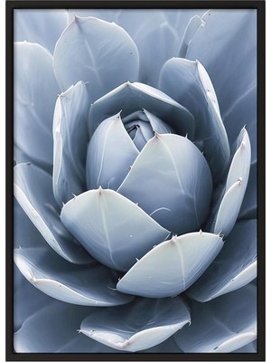 Happy Trend Blue Cactus Çerçeveli Tablo, Siyah Çerçeve ve Poster, Dikey Duvar Tablosu Comfort Serisi NO:108376;70 x 100 Siyah Çerçeveli
