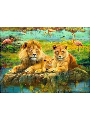 Mabelme Store Prime 500P Puzzle Aslan Ailesi, Yapboz