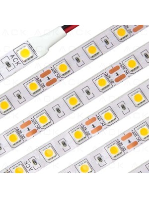 Ack Tek Çip Green 60LED 12V IP20 Serit LED