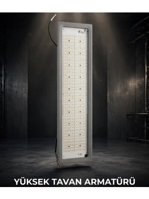 Ack AT47-29433 Yüksek Tavan 150W 6500K IP66