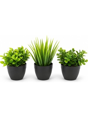 Kawin Deinhaus 3’lü Mini Yapay Çiçek Sukulent Seti, Saksılı Yapay Sukulent Bitki, Dekoratif Masaüstü Mini Bitkiler, Ev ve Ofis Dekoru, 8 cm (Siyah)