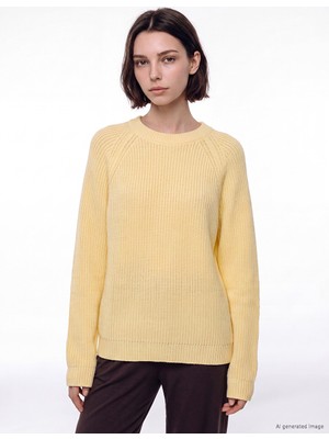 LC Waikiki Lcw Modest Sarı Bisiklet Yaka Kadın Triko Kazak
