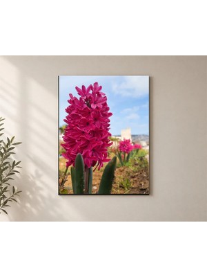 Çetin Kardeşler Sümbül - Hyacinthus Çiçeği Duvar Dekoru Ahşap Mdf Baskı Tablo Mdf Tablo