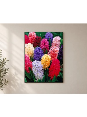 Çetin Kardeşler Sümbül Hyacinthus Çiçekleri Duvar Dekoru Ahşap Mdf Baskı Tablo Mdf Tablo