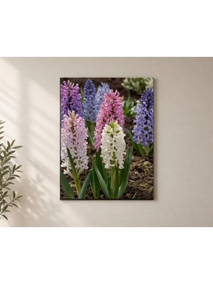 Çetin Kardeşler Sümbül Hyacinthus Çiçekleri Duvar Dekoru Ahşap Mdf Baskı Tablo Mdf Tablo