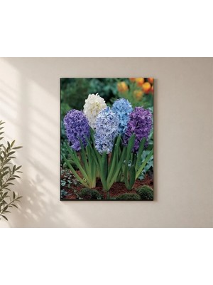 Çetin Kardeşler Sümbül Hyacinthus Çiçekleri Duvar Dekoru Ahşap Mdf Baskı Tablo Mdf Tablo