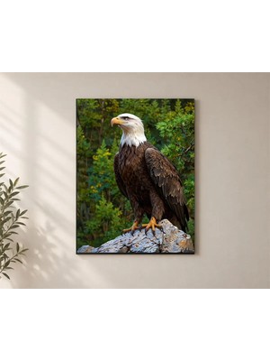 Çetin Kardeşler Kartal Baykuş Kaya ve Duvar Dekoru Ahşap Mdf Baskı Tablo Mdf Tablo