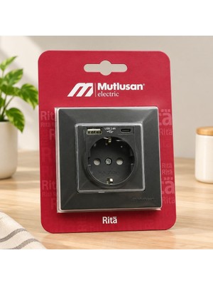 Royaleks Füme Topraklı Priz USB ve Type-C Girişli Çerçeveli
