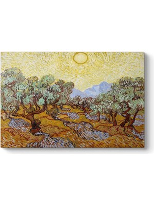 Vincent Van Gogh - Olive Trees Tablosu 125 x 80