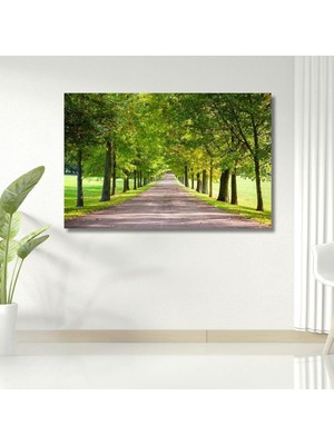 Tekli Yatay Kanvas Duvar Tablosu Yeşil Çimenler ve Yol, 70 x 50