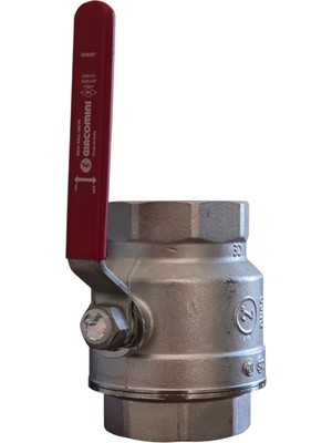 Giacomini 2'' Entustiel Kuresel Vana