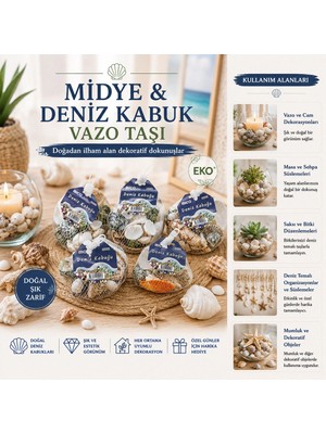 MiraLive 15 Adet Fileli Renkli Mix Eko Midye - Deniz Kabuk Vazo Taşı (4887)