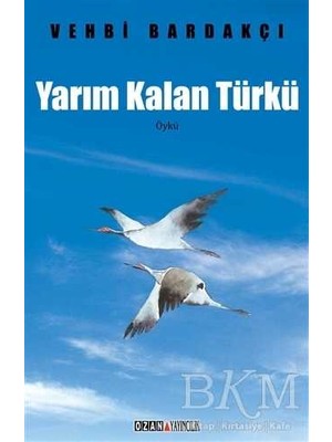 TeknoKapsül Yarım Kalan Türkü