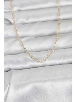cm 14K Renk Kalp Zincirli 60 cm Kadın Kolye 5886