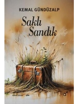 TeknoKapsül Saklı Sandık