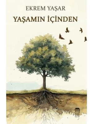 TeknoKapsül Yaşamın Içinden