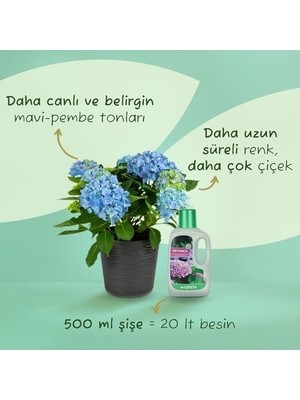 Prime Ortancalar ve Açelyalar Için Sıvı Besin Gübre 500 ml
