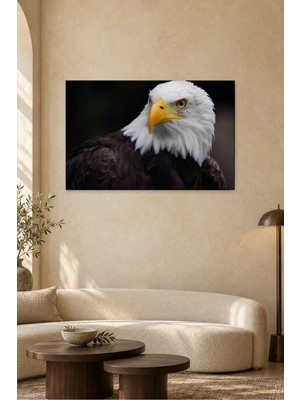 Fida Siyah Fonda Kel Kartal Portresi Canvas Tablo