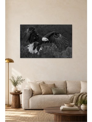 Fida Siyah Beyaz Süzülen Kel Kartal Canvas Tablo