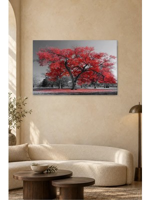 Fida Siyah Beyaz Parkta Kırmızı Ağaç Canvas Tablo