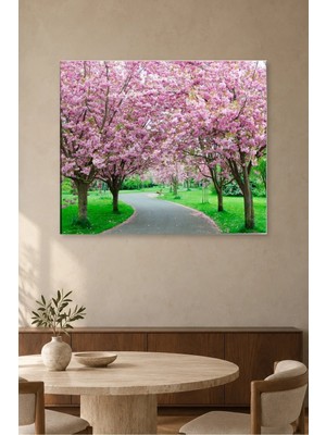 Fida Sakura Ağaçlı Kıvrımlı Park Yolu Canvas Tablo