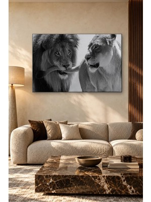 Fida Siyah Beyaz Oyunbaz Aslan Çifti Canvas Tablo
