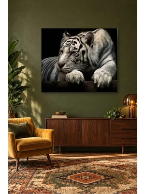 Fida Siyah Fonda Uzanan Beyaz Kaplan Canvas Tablo