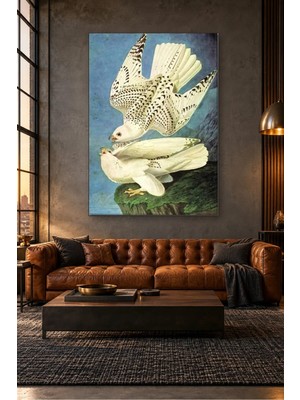 Fida Audubon Kayalıkta Iki Beyaz Şahin Canvas Tablo