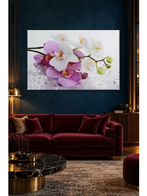 Fida Islak Cam Üzerinde Pembe Beyaz Orkide Canvas Tablo