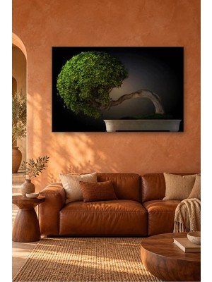 Fida Karanlıkta Yeşil Bonsai Ağacı Canvas Tablo