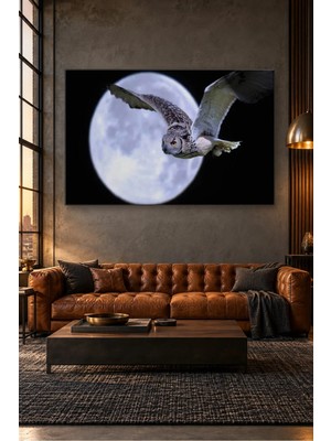 Fida Dolunayın Önünde Uçan Baykuş Canvas Tablo