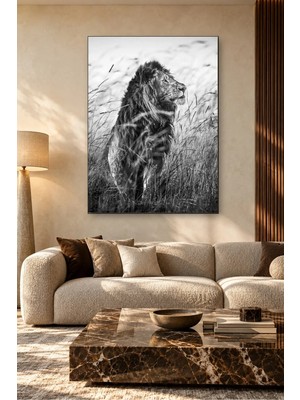 Fida Siyah Beyaz Uzun Otlar Arasında Erkek Aslan Canvas Tablo