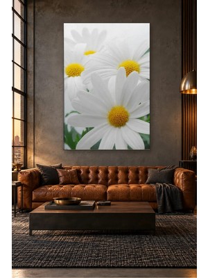 Fida Yakın Çekim Beyaz Papatyalar Canvas Tablo