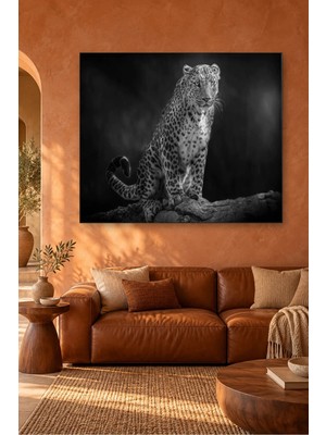 Fida Siyah Beyaz Kayada Oturan Leopar Canvas Tablo