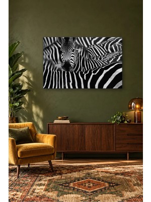 Fida Siyah Beyaz Zebra Sürüsünden Bakan Zebra Canvas Tablo