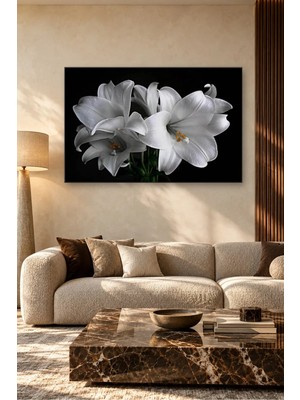 Fida Siyah Fonda Beyaz Zambaklar Canvas Tablo