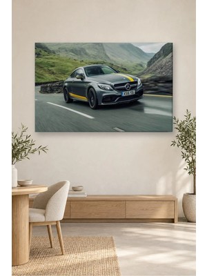 Fida Yeşil Vadi Yolunda Gri Mercedes-Amg Coupe Canvas Tablo
