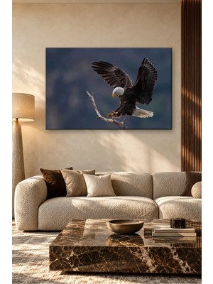Fida Kuru Dala Konmak Üzere Kartal Canvas Tablo
