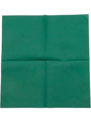 Çelik Ticaret Airlaid Peçete 40X40 cm (Açık Ölçü) – 20X20 cm Katlı, 50’li Paket, Kumaş Dokulu, Hijyenik, Premium Sofra Peçetesi (Yeşil)