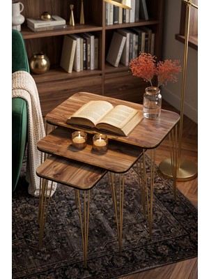 Ecotrend Zigon Sehpa Kare Çift Gold Ceviz Tel